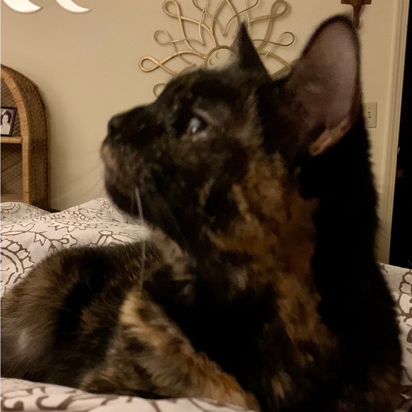 Meet your Posher, Mary - Picture 4 of 4